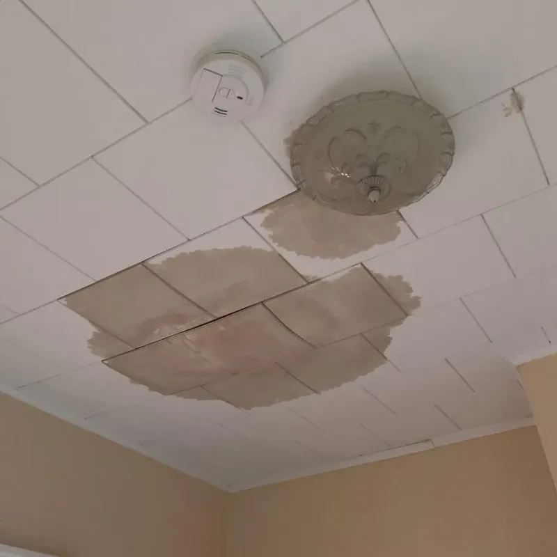 Ceiling Water Damage Repair in Bethesda, OH
