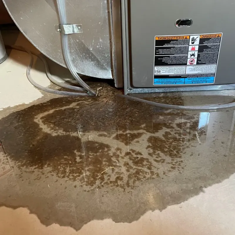 Pipe Burst and Leak Restoration in Bethesda, OH