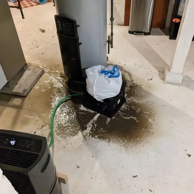 Sewage Backup Cleanup Service in Bethesda, OH